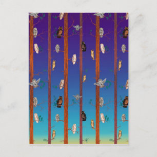 Owl forest postcard