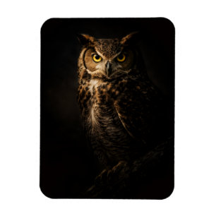 Owl Fridge Magnet