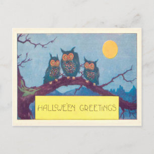 Owl Full Moon Tree Postcard