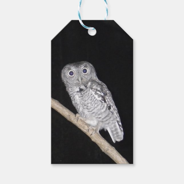 Owl Gift Tags (Front)