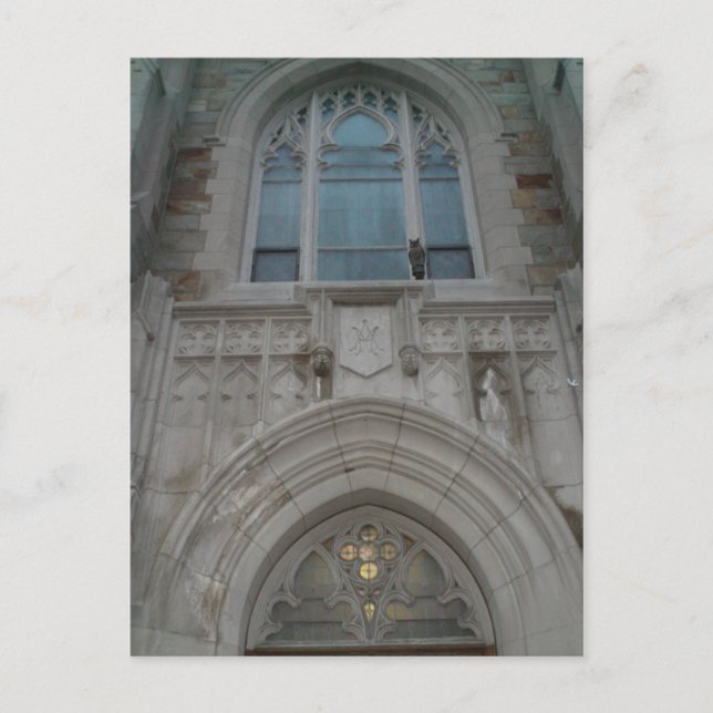 Owl Guardian Postcard (Front)