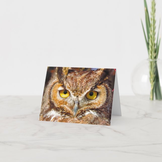 Owl Head - Eyes (Great Horned Owl) Card (Front)