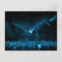 Owl Hunt Fantasy Night