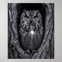 Owl in a Tree Hollow Black and White