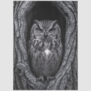 Owl in a Tree Hollow Black and White Tissue Paper