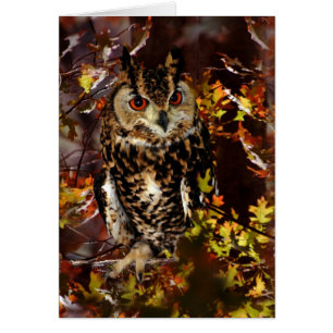 Owl in Autumn