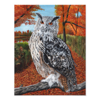 Owl in Autumn Forest Fine Art  Photo Print