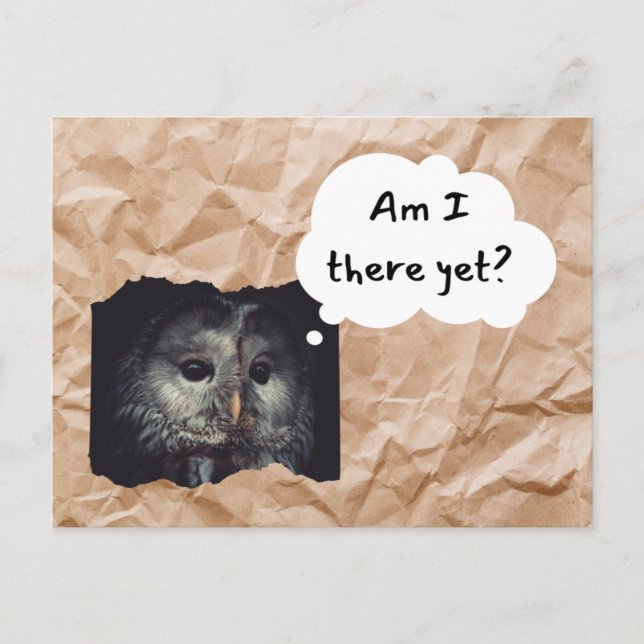 Owl in Brown Bag Postcard "Am I There Yet?" Humour (Front)