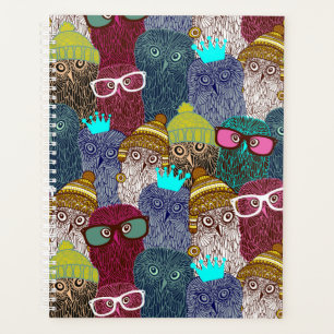 Owl in crown planner