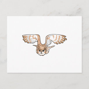 OWL IN FLIGHT POSTCARD