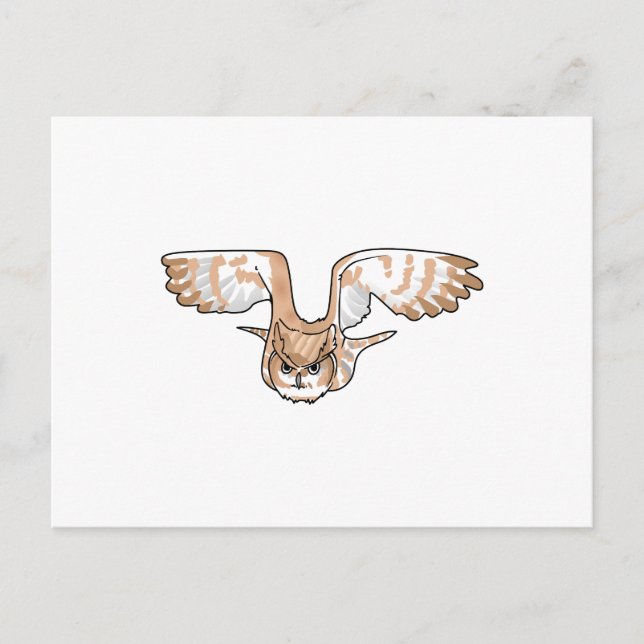 OWL IN FLIGHT POSTCARD (Front)