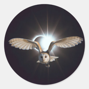 Owl in Outerspace Classic Round Sticker