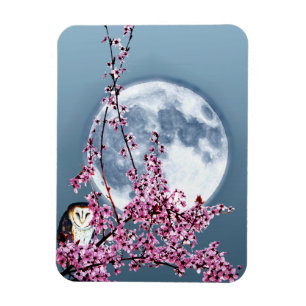 Owl in Plum Tree Magnet
