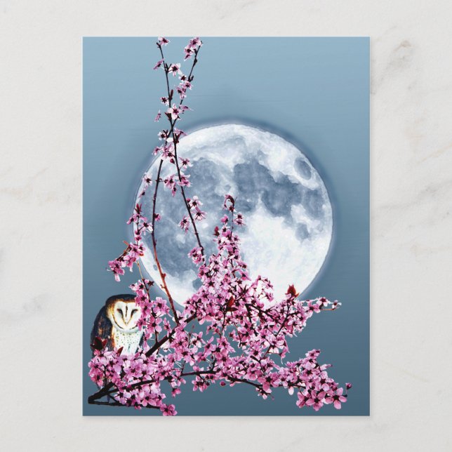 Owl in Plum Tree Postcard (Front)