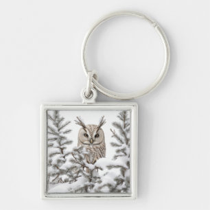 Owl in Snow Key Ring