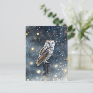 Owl in Snow Winter Solstice  Holiday Postcard