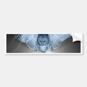 OWL in the DARK Bumper Sticker