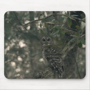 Owl in the Forest Mouse Mat