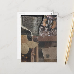 Owl in the Room Surreal Collage Postcard