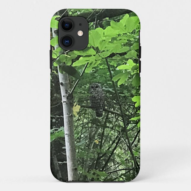 Owl in the Trees, Oregon Case-Mate iPhone Case (Back)