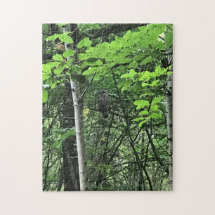 Owl in the Trees, Oregon Jigsaw Puzzle