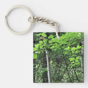 Owl in the Trees, Oregon Key Ring