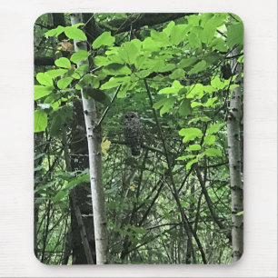 Owl in the Trees, Oregon Mouse Mat