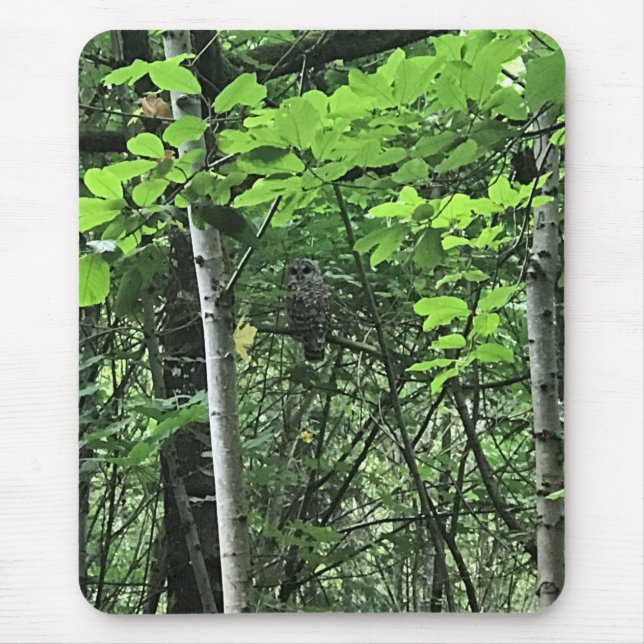 Owl in the Trees, Oregon Mouse Mat (Front)
