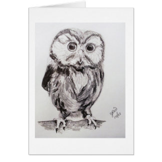 Owl in the World are you?