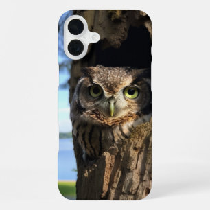 Owl iPhone 16 Plus Case