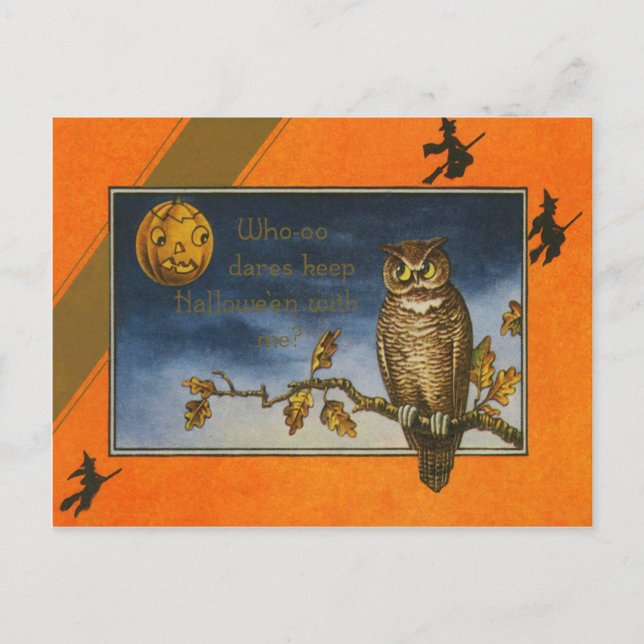 Owl Jack O Lantern Pumpkin Postcard (Front)
