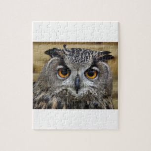 Owl Jigsaw Puzzle