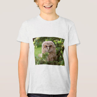 Owl kinds 11 Tri-Blend shirt