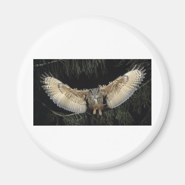 Owl Landing Magnet (Front)