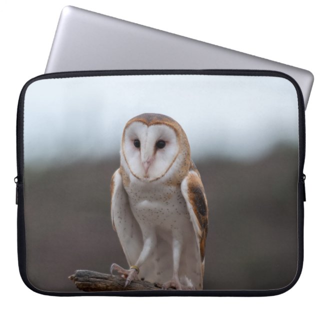 Owl Laptop Sleeve (Front)