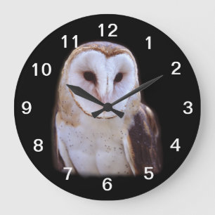 owl large clock