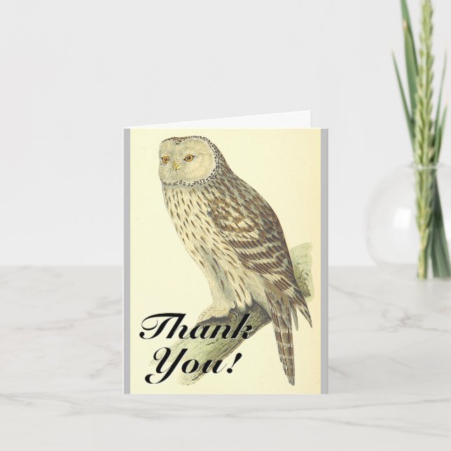 Owl Like Bird, "Thank You!", Vintage Style Card (Front)