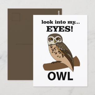 Owl Look Into My Eyes Owl Postcard