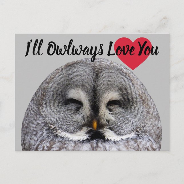 Owl Love Valentine Postcard (Front)
