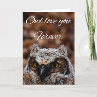 Owl love you forever thank you card