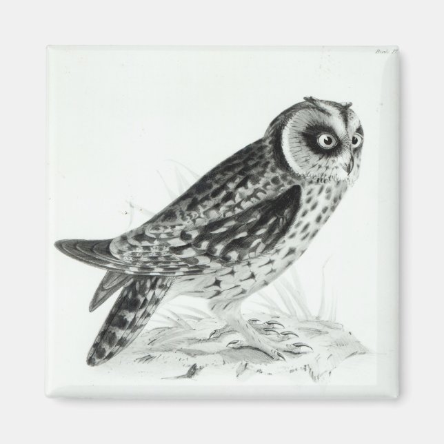 Owl Magnet (Front)