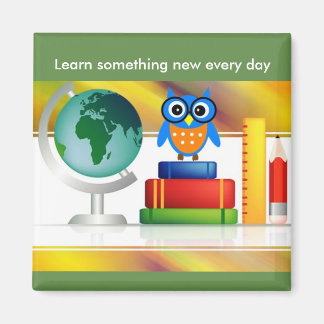 owl magnet