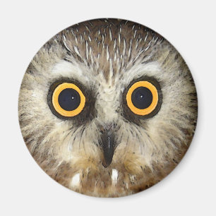 owl magnet