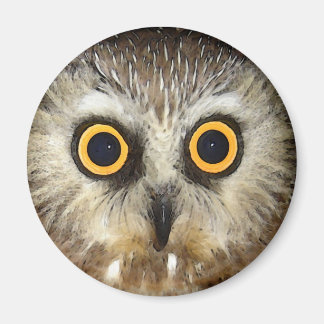 owl magnet