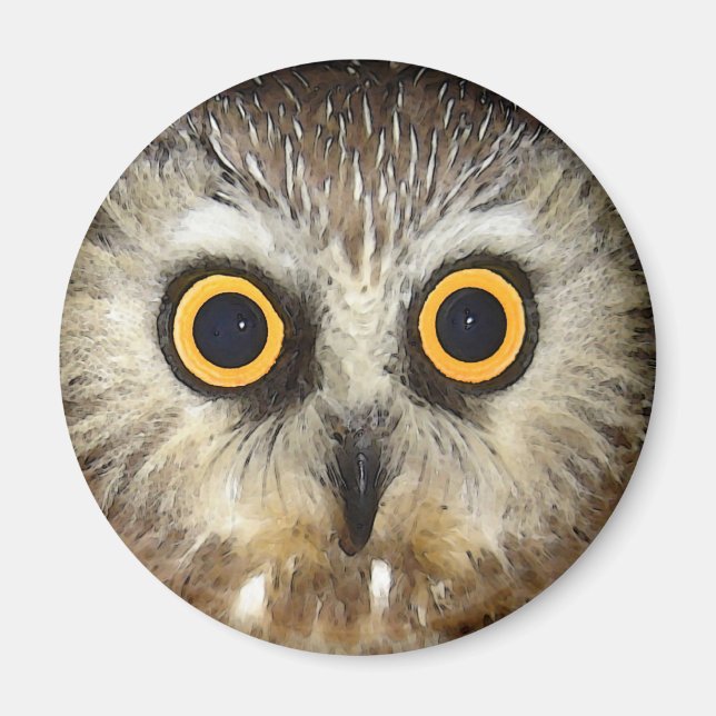 owl magnet (Front)