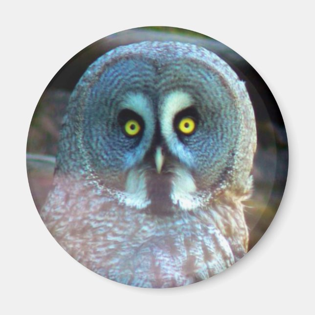 Owl Magnet (Front)