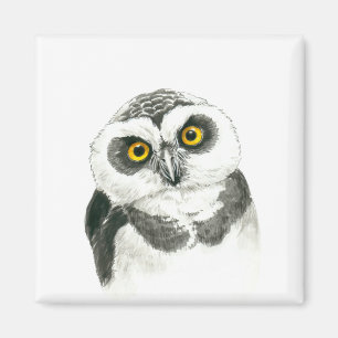 Owl Magnet