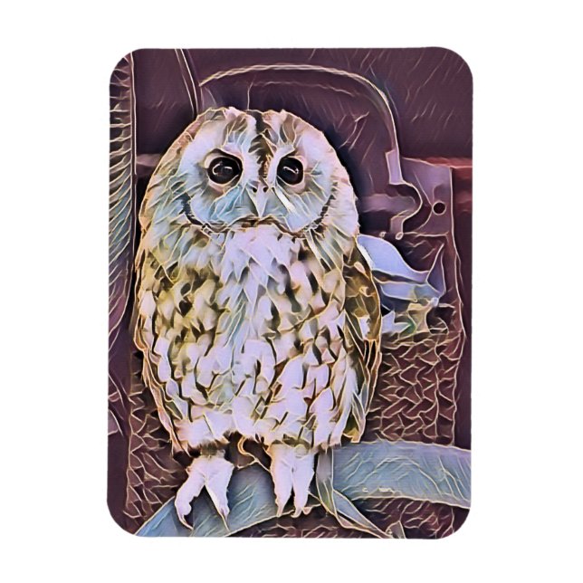 OWL    MAGNET (Vertical)