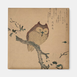 Owl & Magnolia: Japanese Ukiyo-e Magnet