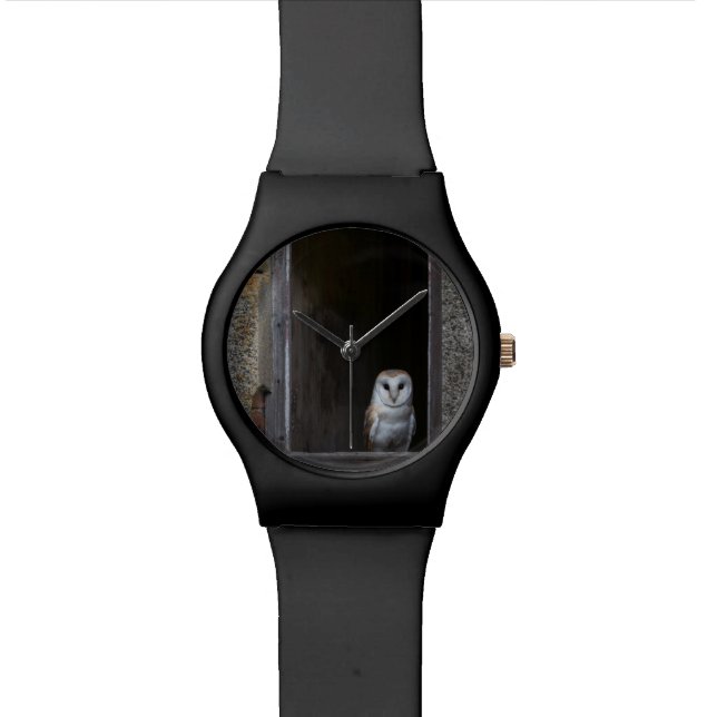 Owl May 28th Watch (Close Up)